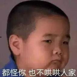 娱乐八卦最新爆料图片表情包,最新爆料图片表情包大曝光！